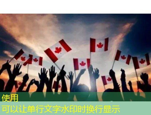 职业移民中介：如何用“本地智慧”把全球offer装进你的口袋？