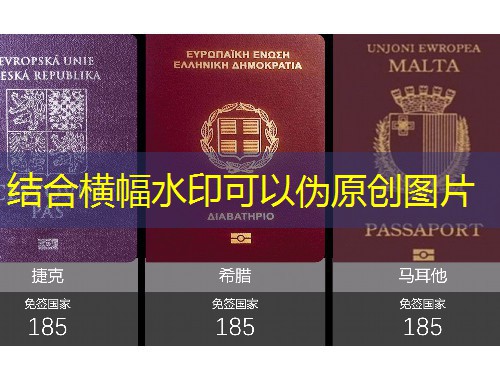 从“绿城”到全球：南宁移民定居中介如何帮你一步到位？